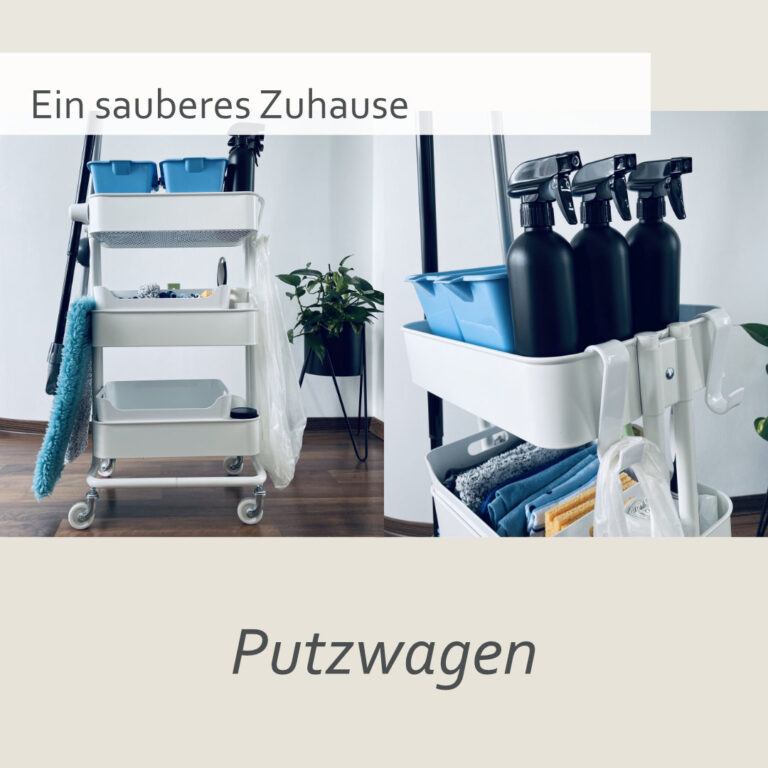 Putzwagen mit Putzutensilien für Zuhause