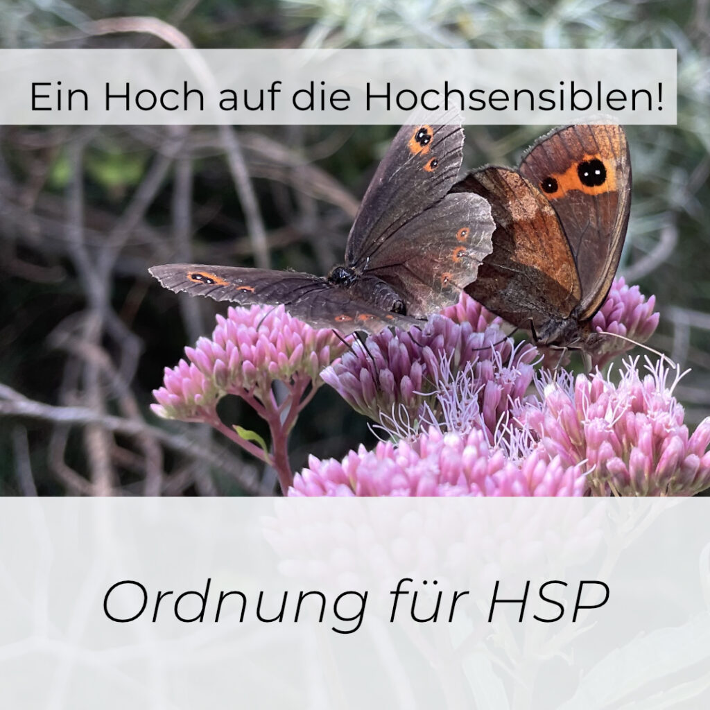 Ein Hoch auf die Hochsensiblen! Ordnung für HSP