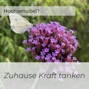 Hochsensibel? Zuhause Kraft tanken. Bild mit Schmetterling auf Eisenkraut.